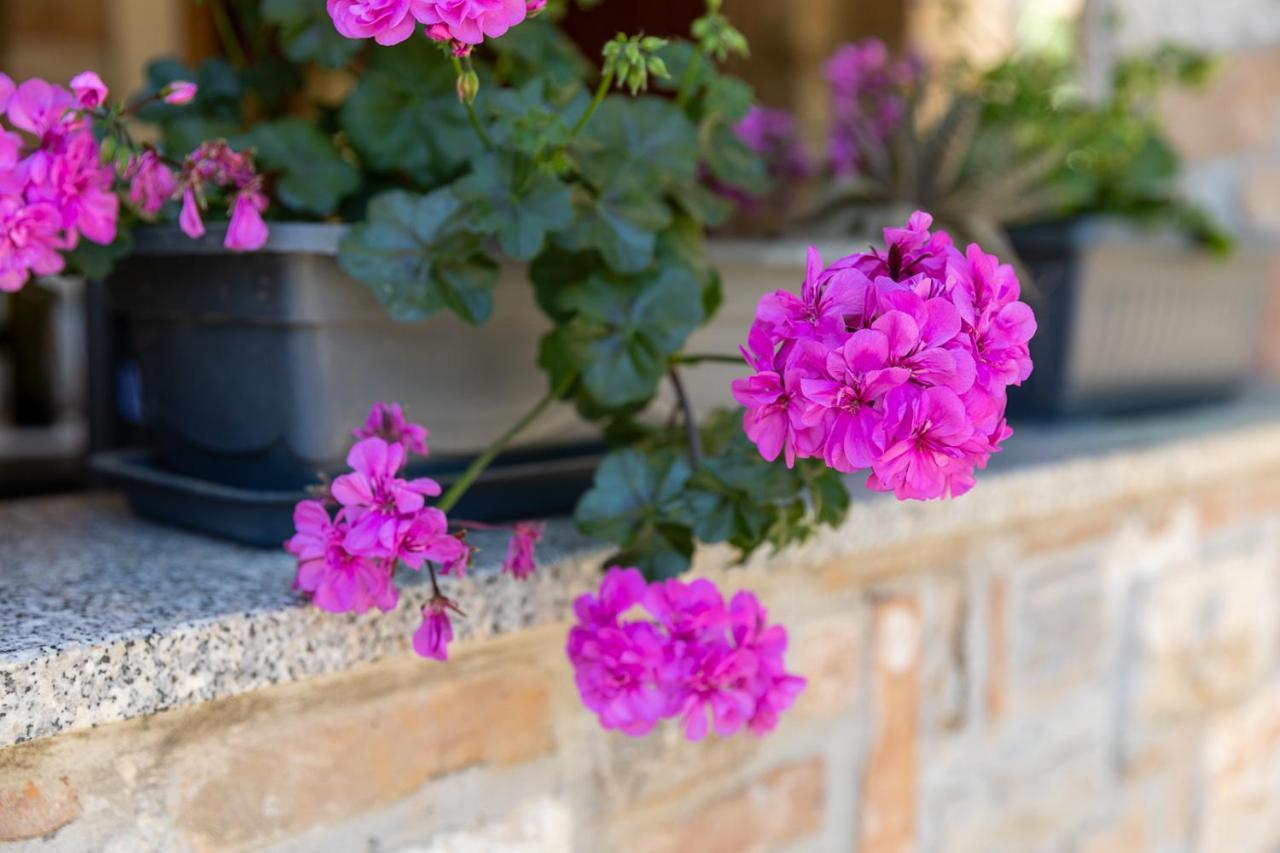 Holiday House Hana Rovinj Exterior foto