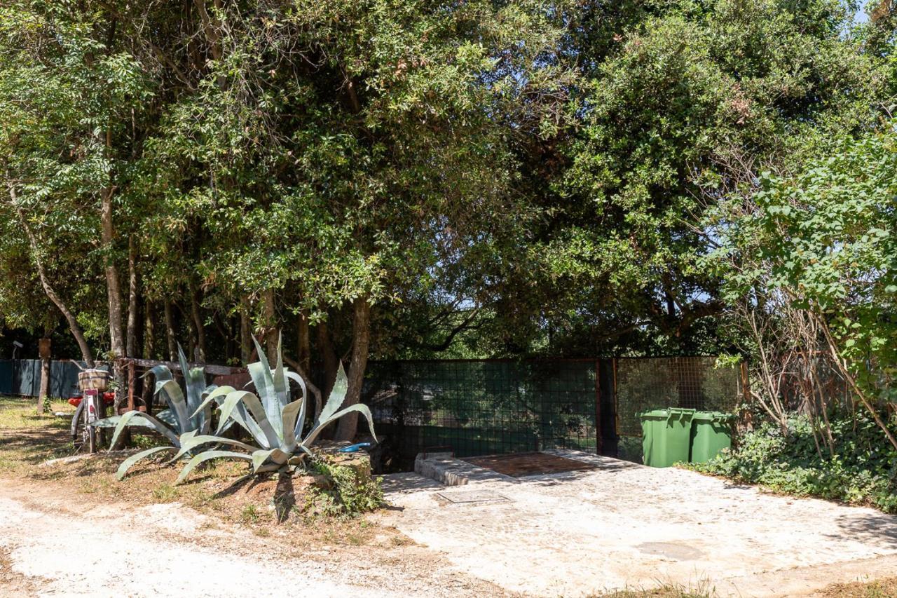 Holiday House Hana Rovinj Exterior foto